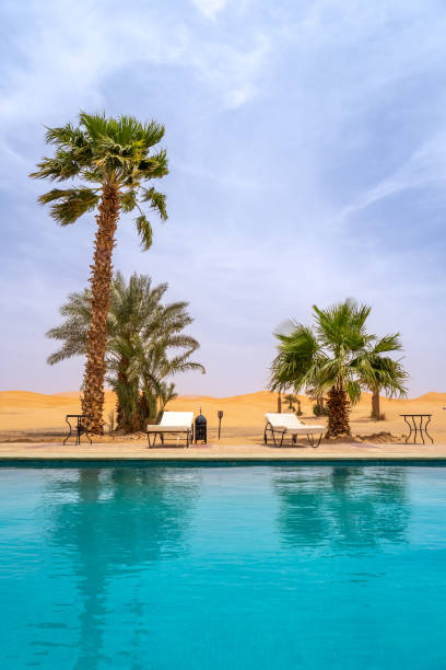 istock Serene Poolside Retreat with Palm Trees in Merzouga Desert 2177287600