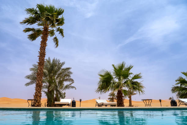 istock Serene Poolside Retreat with Palm Trees in Merzouga Desert 2177287639