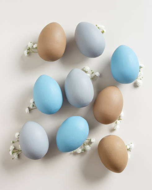 istock Pastel Easter Eggs as minimal pattern with white blooming Flowers on beige color, top view colorful chicken egg. Easter celebration concept. Festive food, still life holiday, aesthetic flat lay 2177288793
