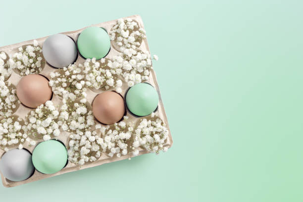 istock Easter Egg Assortment in Carton with White Baby's Breath on turquoise gradient Background. Pastel dyed eggs in package, spring holiday photo, tender soft hues, celebration food white flowers 2177288801
