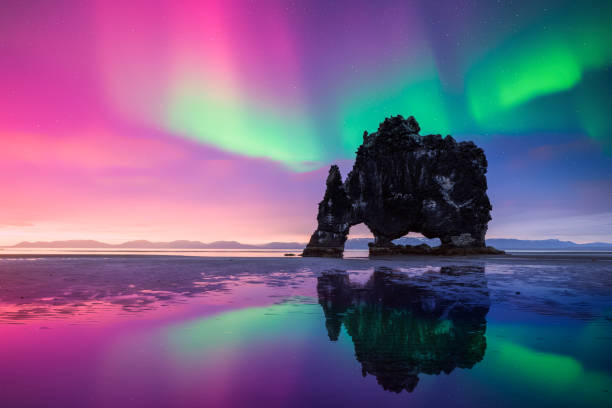 istock Purple and green Northern lights over Basalt stack Hvitserkur 2177290994
