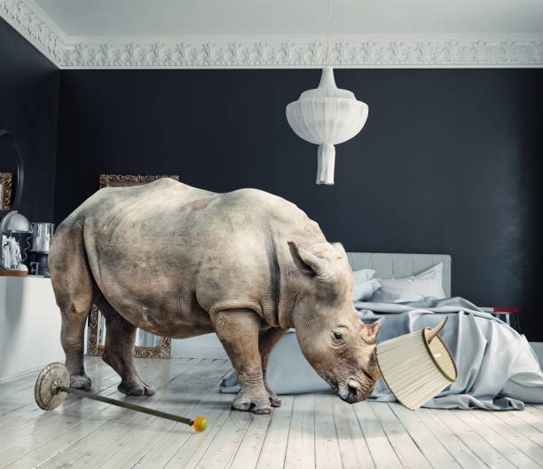 istock wild rhino in the luxury bedroom 2177293104