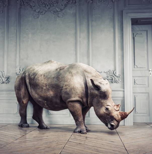 istock wild rhino in the luxury room 2177293125