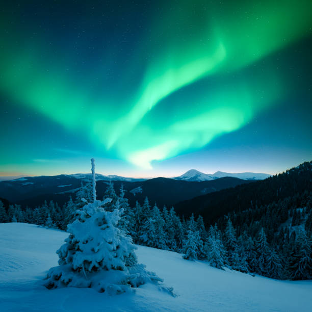 istock Fairy winter mountains with snowy fir-trees 2177293143