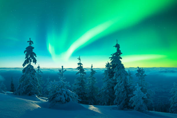 istock Fairy winter mountains with snowy fir-trees 2177293328
