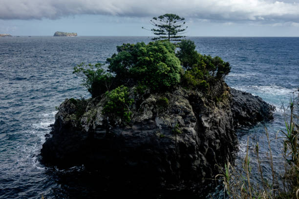 Sete Cidades lake, close-up view of seven cities lagoon, volcano crater . Headland covered with fir trees forest  in the foreground. Azores, Sao Miguel island, Portugal .