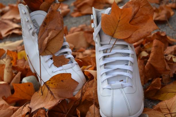istock Skate Amidst Autumn Leaves 2177294276