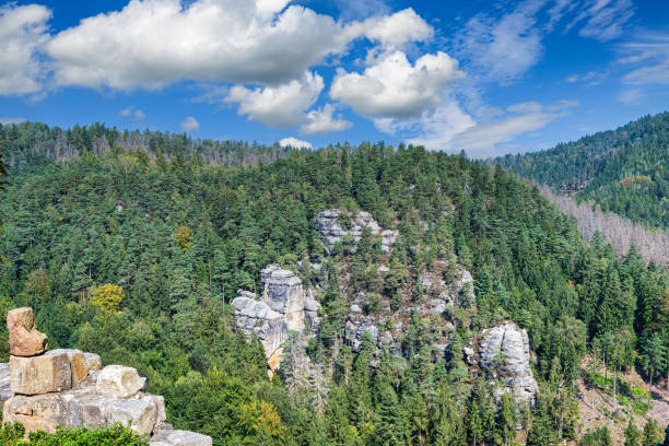 A view from the ruins of Oybin Monastery in Saxony