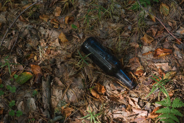istock Bottle is laying on the ground in a forest 2177295282