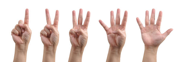 istock Group of hand show one, two, three, four and five finger gesture for counting number in communication signal concept. Isolated in white Background. 2177298608