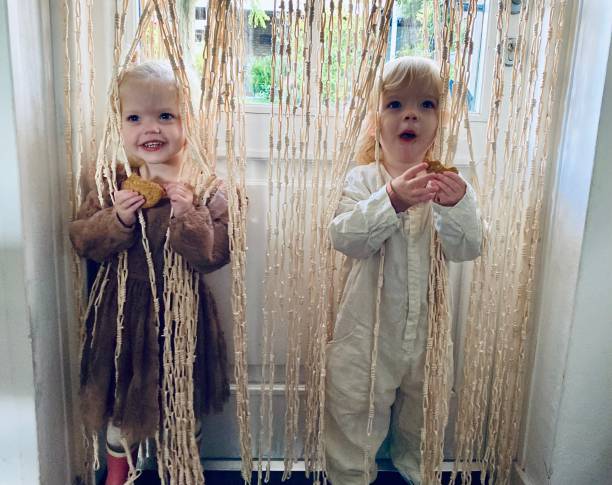 Fraternal Toddler Twin playing Peekaboo behind the curtain