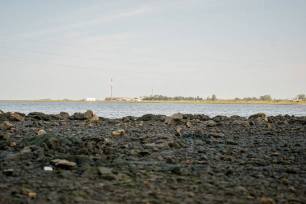 istock Shore of the Santa Lucia River 2177302113