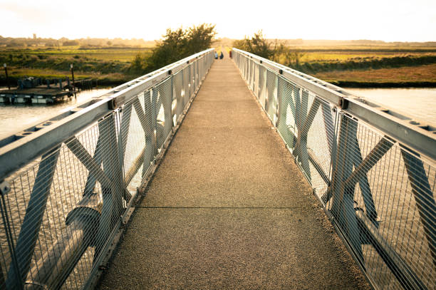 Bridge over the river in the park