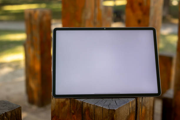 istock Young college boy using blank screen tablet with stylus pen while sitting outdoors in the park. 2177305809
