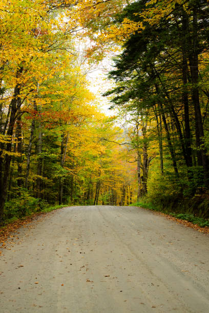 istock Colorful Autumn Leaves in New England 2177306327