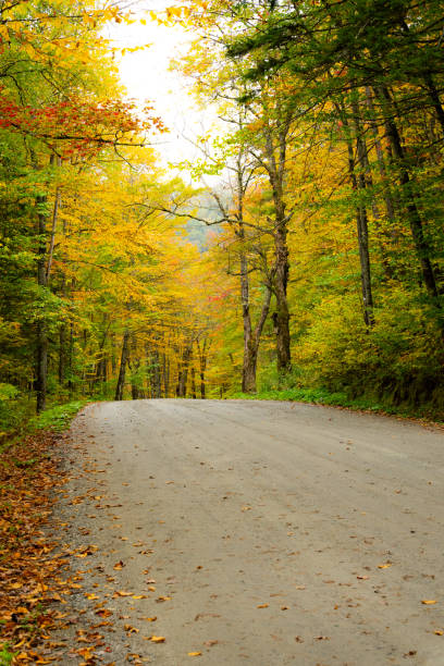 istock Colorful Autumn Leaves in New England 2177308101