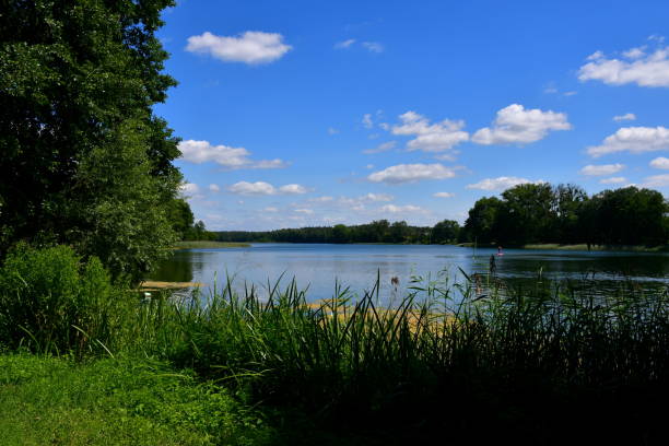 istock A view of a vast river or lake surrounded from all sides with reeds, forests, moors, fields, and pasturelands located next to a small marina or wooden platform and some metal tower seen in Poland 2177308140