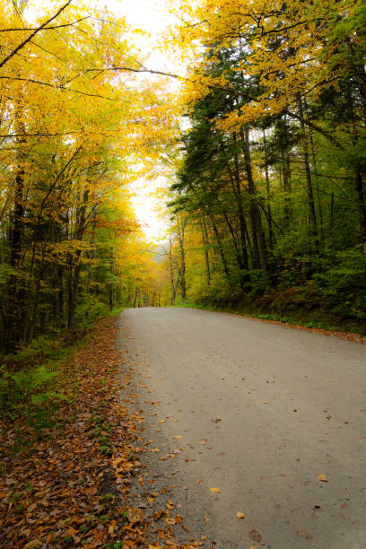 istock Colorful Autumn Leaves in New England 2177308356