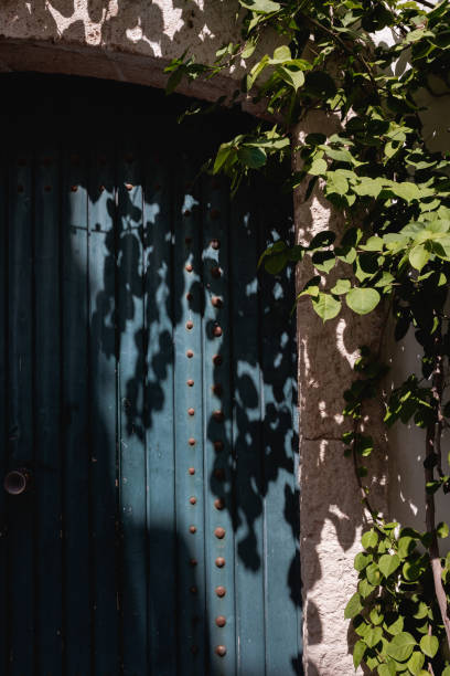istock Wooden door with decorative climbing plant 2177310853