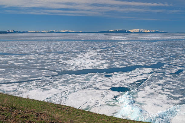 istock Ice Breaking Up on Yellowstone Lake in the Spring 2177316541