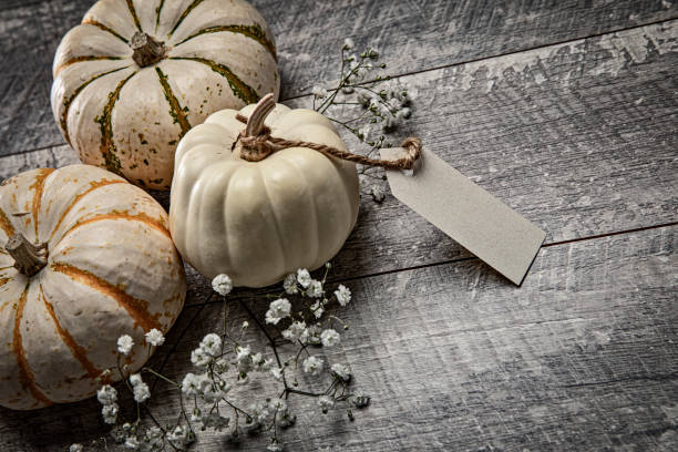 istock Autumn White pumpkins on wood background 2177326367