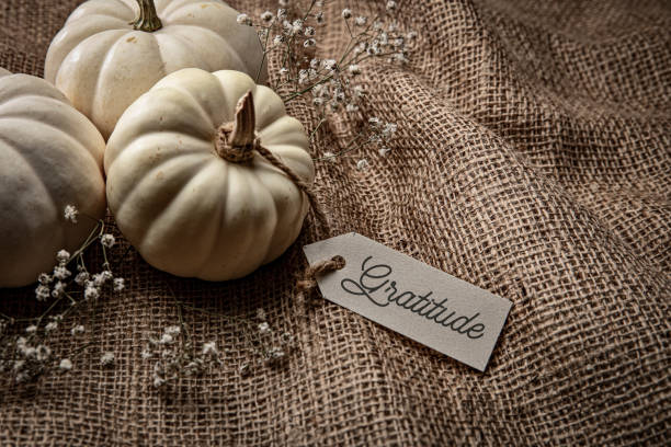 istock Autumn White pumpkins on Burlap background 2177326368