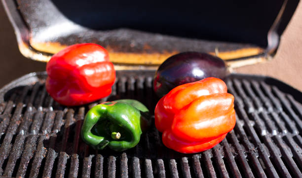 Grilled vegetables on barbecue,  Isolated on white background, top view