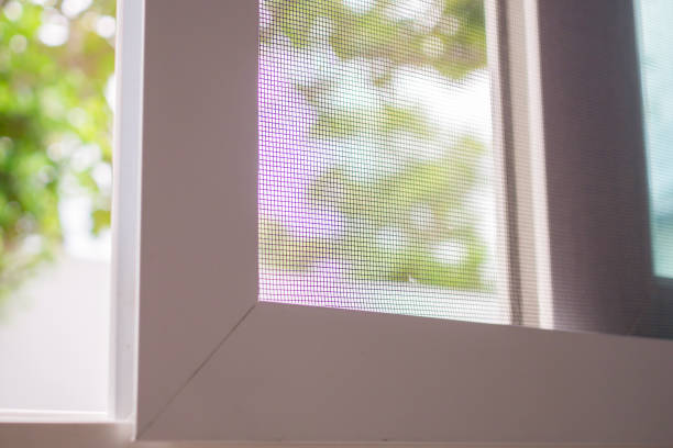 istock mosquito net wire screen on house window protection against insect 2177333211