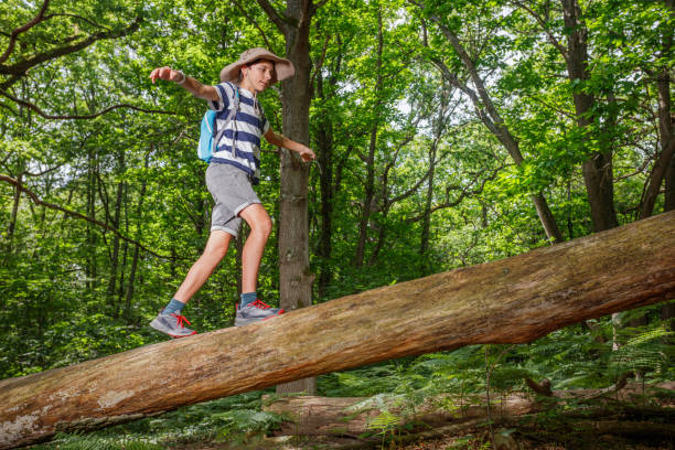 istock Teenager explores nature, balancing on log in forest summer camp 2177333741