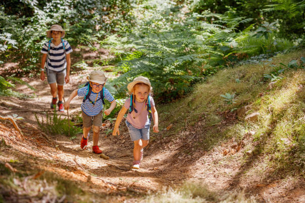 istock Young adventurers hiking up scenic path in forest, excitedly 2177333766