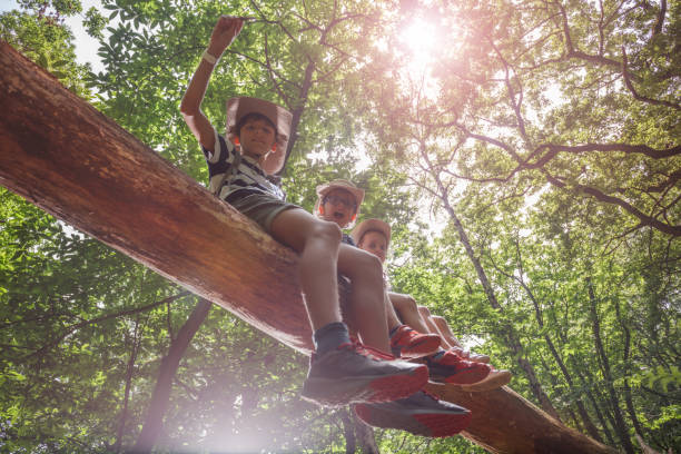 istock Three happy kids scouts brave sit on high log in sunlit forest 2177333786