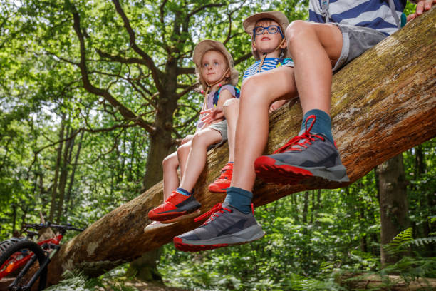 istock Three children with sunhats sit on enormous fallen tree have fun 2177333805