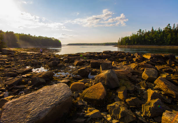 istock Tidal Falls Preserve, Maine 2177335322