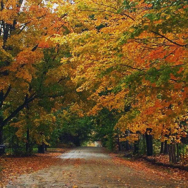 istock New England in Autumn 2177344264