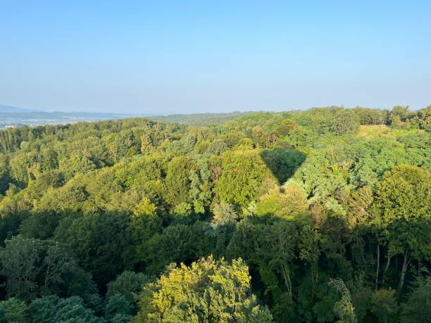 istock View of forests, fields, villages and Zagorje hills, during a panoramic balloon flight over Croatian Zagorje - Croatia (Panoramski let balonom iznad Hrvatskog zagorja - Hrvatska) 2177345653