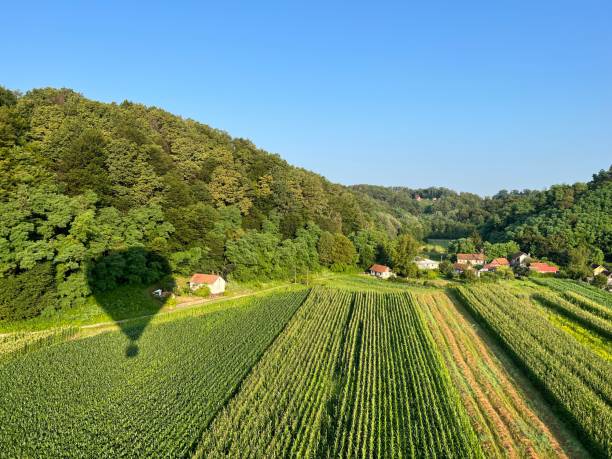 istock View of forests, fields, villages and Zagorje hills, during a panoramic balloon flight over Croatian Zagorje - Croatia (Panoramski let balonom iznad Hrvatskog zagorja - Hrvatska) 2177345829