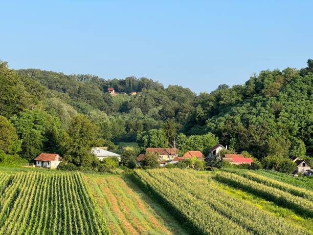istock View of forests, fields, villages and Zagorje hills, during a panoramic balloon flight over Croatian Zagorje - Croatia (Panoramski let balonom iznad Hrvatskog zagorja - Hrvatska) 2177345839