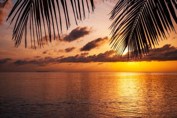 istock Tropical ocean sunrise over the exotic island beach 2177347482