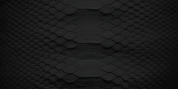 istock black snake skin background, natural reptile leather texture. 2177349855