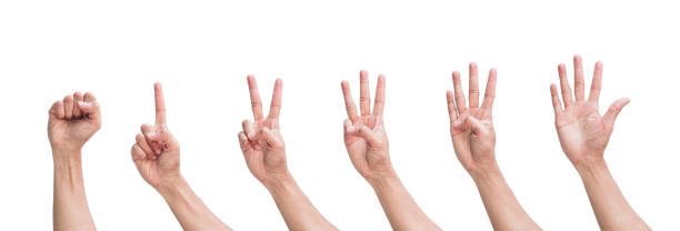 istock Set of hand gesture showing Number sequence fingers isolated on white background. Various gestures of hands. Clipping Path 2177352189