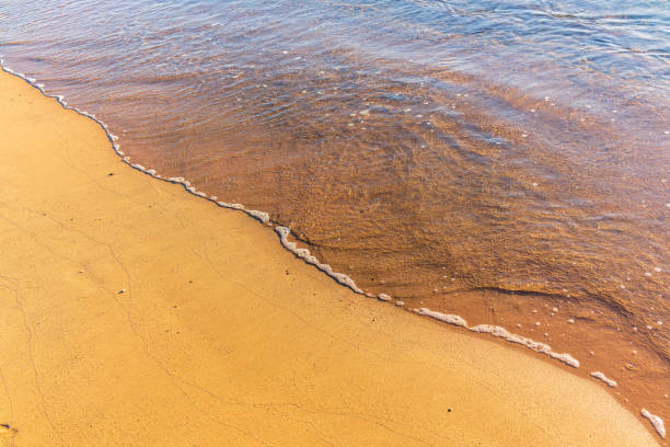 istock Soft wave of the sea on the sandy beach. 2177352774