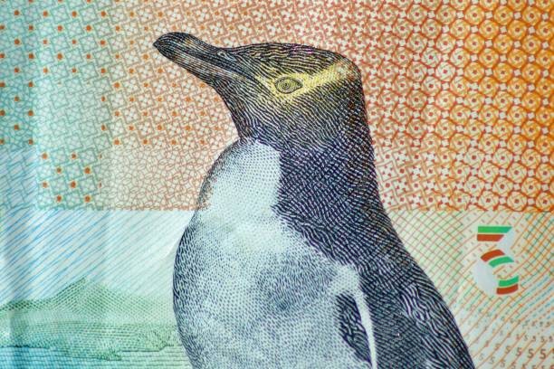Close-up of the picture of  a Hoiho (Yellow Eyed Penguin) on the reverse of a New Zealand 5 Dollar (NZD) banknote.