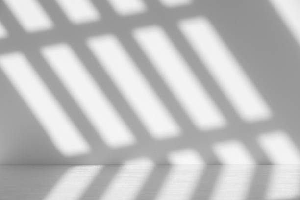 istock Wall interior background, studio and backdrops show products.with shadow from window color white . background for text insertion and presentation product 2177357521