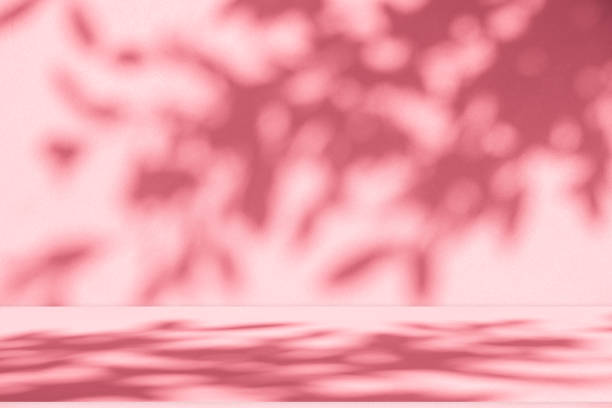 istock Wall interior background, studio, and backdrops show products. with shadow from window color white and pink light. background for text insertion and presentation of product 2177357571