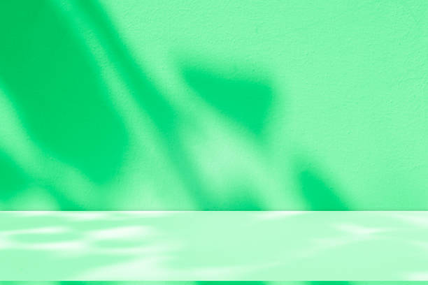 istock Wall interior background, studio and backdrops show products.with shadow from window color green . background for text insertion and presentation product 2177357643