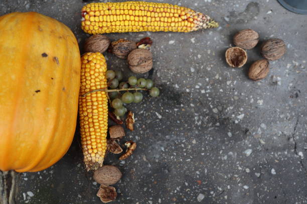 Autumn harvest elements on the concrete background