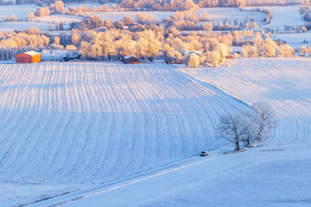 Car driving on a winter road
