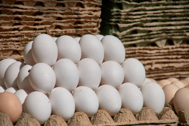 White eggs are neatly displayed in large quantities at Chorsu Bazaar, Tashkents famous agricultural market. These fresh eggs are a staple food in Uzbekistan, and the markets vendors offer them in various quantities for local shoppers and tourists alike.