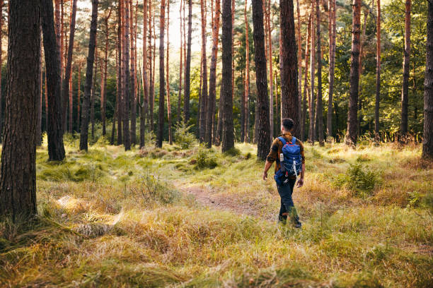 istock Rear view of man walking through the forest during autumn hike 2177375994