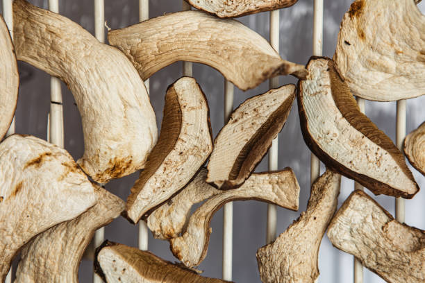 Cut wild mushrooms drying on the sun